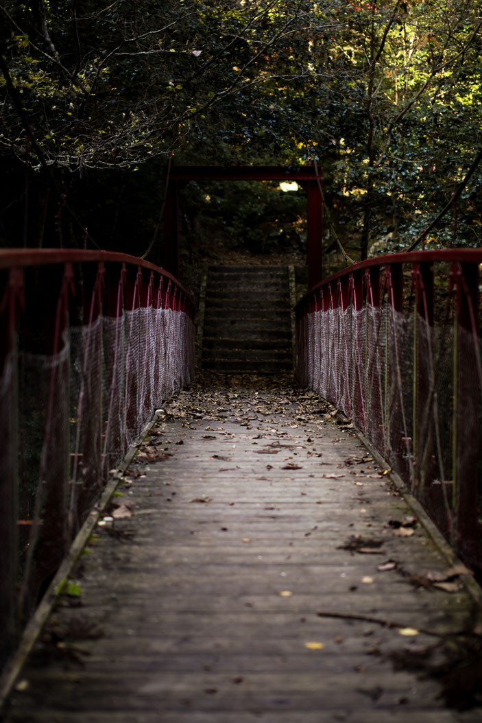 くらがり渓谷 CanonEOS5Dmk2 Sigma50mmF1.4EX iso100 50mm f1.4 1/250 Tv photo : toshimasa