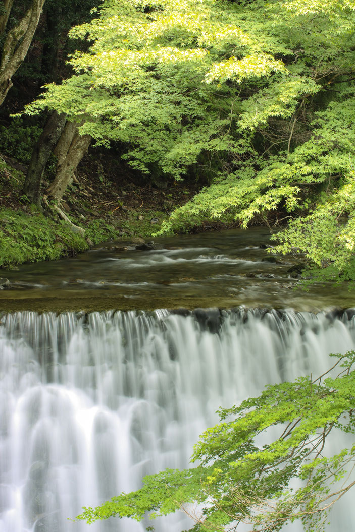 くらがり渓谷 CanonEOS8000D Sigma50mmF1.4 photo:toshimasa