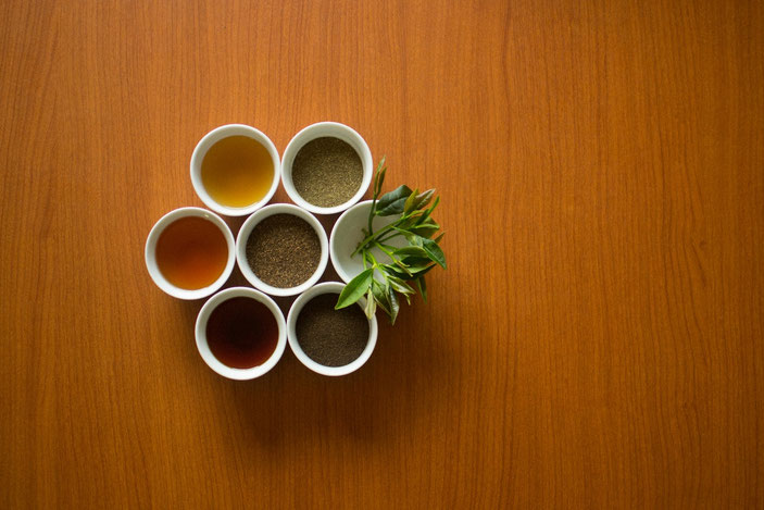 Foto: Joaquín Valdez - Klimiuk Infusiones
