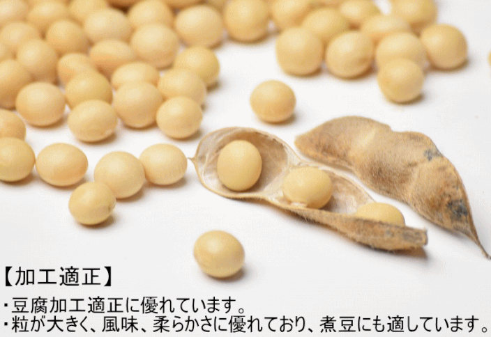 日本の大豆】大豆 おおすず 青森県産 大豆 国産 乾燥 大粒大豆 乾燥豆