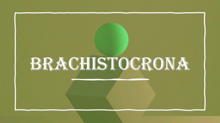 In fisica-matematica, la brachistocrona (dal greco βράχιστος, brachistos - il più breve, χρόνος, chronos - tempo) è una traiettoria fra due punti che verifica il principio di Fermat. Costituisce un elemento fondamentale nello studio della meccanica classi