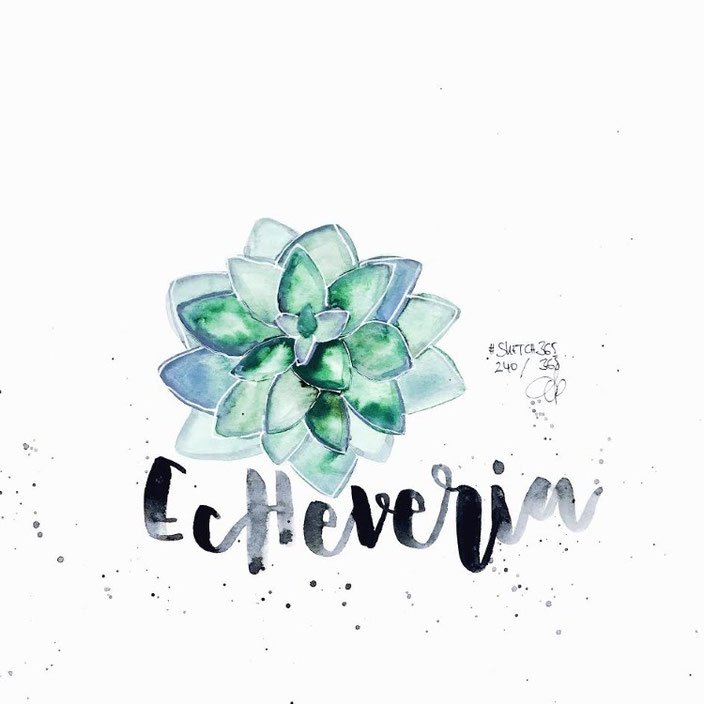 Echeveria - Lettering mit Aquarell von sketchedbytanja für die Letter Lovers