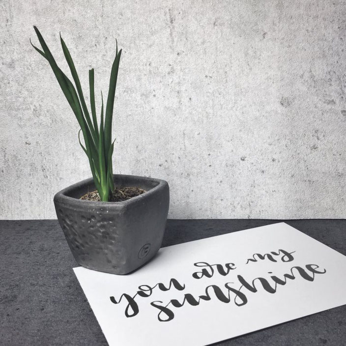 Lettering "you are my sunshine" (Brushlettering vom wortliebelei bei den Letter Lovers)