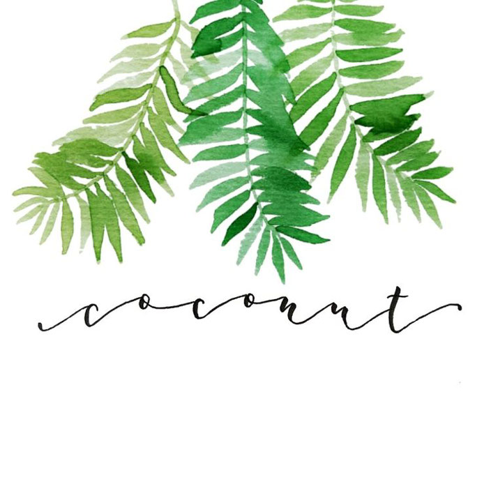 coconut - Handlettering mit Aquarell - lisa_pisa_lettering bei den Letter Lovers