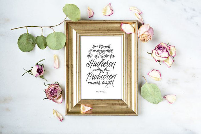 Handlettering in goldenem Rahmen: Der Mensch ist so eingerichtet, dass ihn nicht das Studieren sondern das Probieren vorwärts bringt. (Lettering von papier.liebe bei den Letter Lovers)