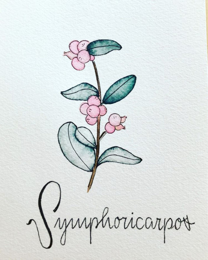Blumen Aquarell mit Handlettering - letter_fee bei den Letter Lovers