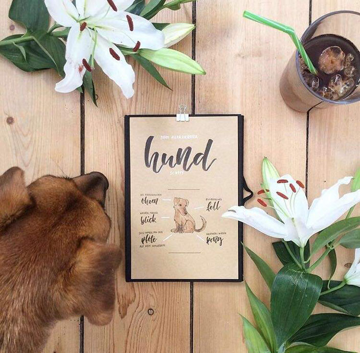 Handlettering mit Aquarell Zeichnung - Hund (clrslzmn bei den Letter Lovers)