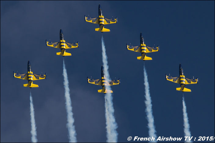 Patrouille de Letonie :Baltic Bees L-39 C Abeilles 