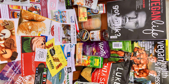 all the cool Things at the Leicester Vegan Festival