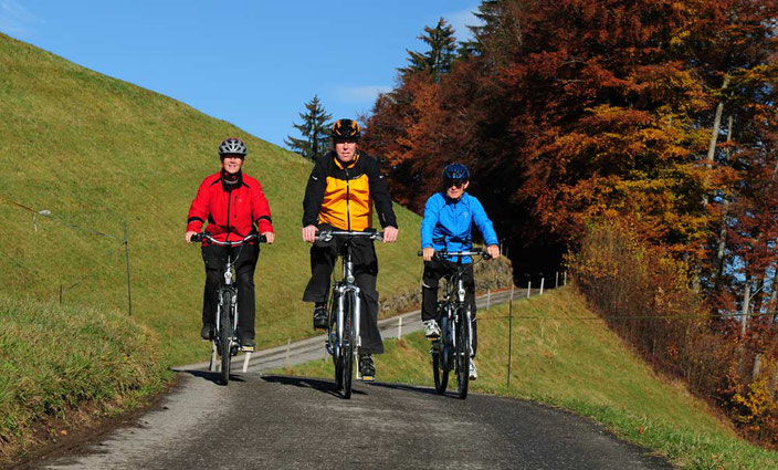 E-Bike Tour mit Gepäcktransport im Berner Oberland: Von Spiez zum Lauenensee