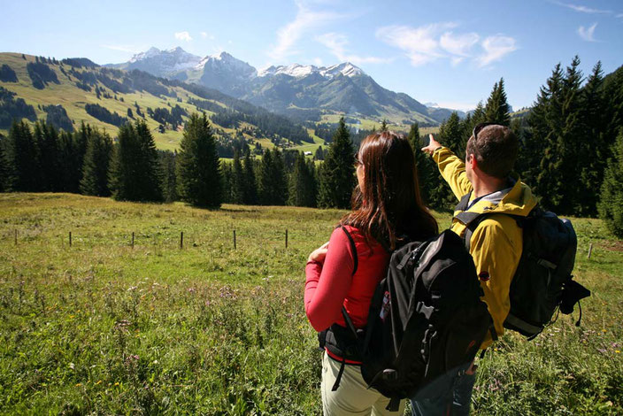 Weitwandern ohne Gepäck in der Westschweiz: Via Alpina