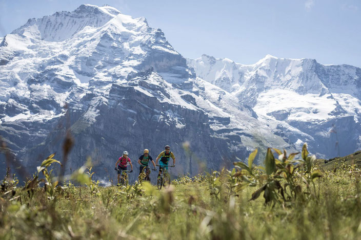 E-MTB Tour mit Gepäcktransport im Berner Oberland: Eiger Loop