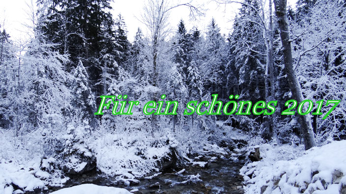 Happy New Year - Für ein schönes 2017 - fair4world