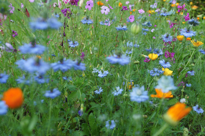 Wochenendlinks 30. Juli
