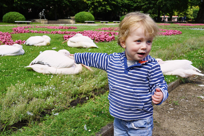 Berlintipp: Besuch im Tierpark (Zoo)