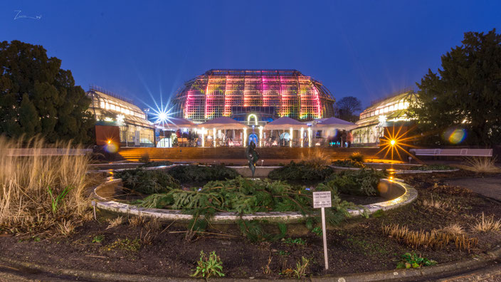 Das große Gewächshaus bunt beleuchtet zum Christmas Garden.