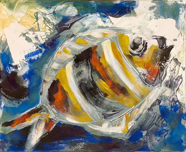 2020 Snapper | 40 x 50 cm | Acryl/Lwd. | Claudia Kessler-Simsch