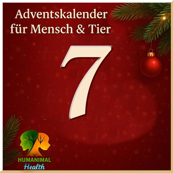 Herzlich willkommen im Adventskalender für Mensch & Tier an Tag 5
