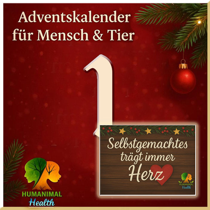 Herzlich willkommen im Adventskalender für Mensch & Tier an Tag 1