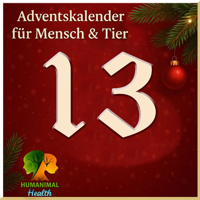Herzlich willkommen im Adventskalender für Mensch & Tier an Tag 13