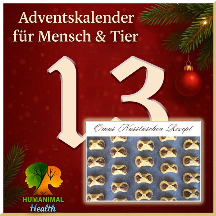Herzlich willkommen im Adventskalender für Mensch & Tier an Tag 13