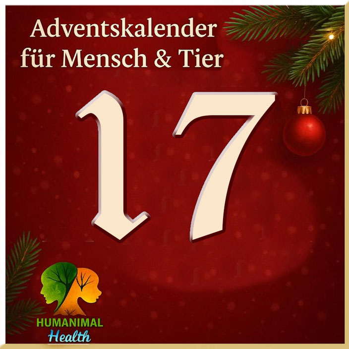 Herzlich willkommen im Adventskalender für Mensch & Tier an Tag 17