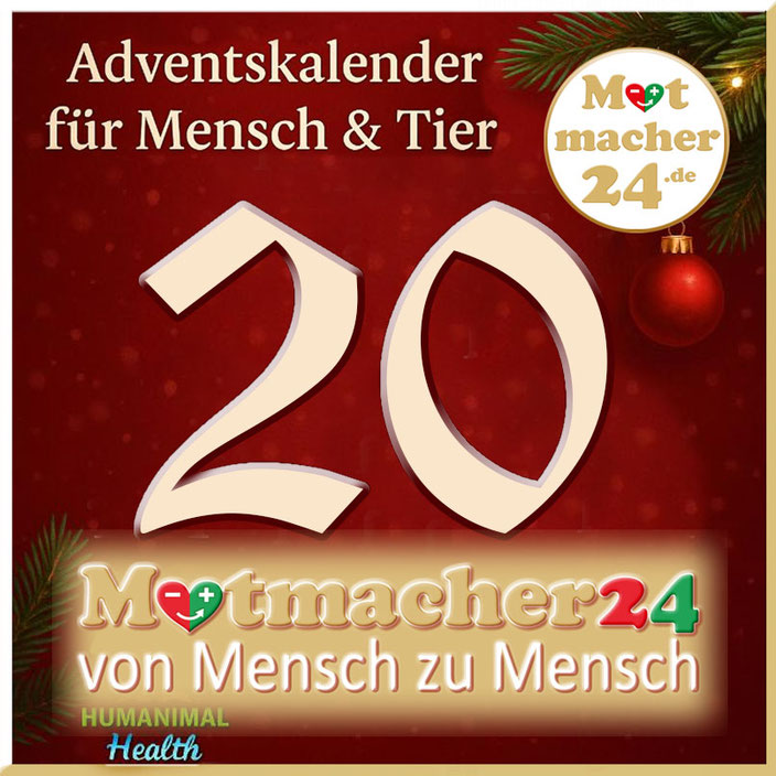 Herzlich willkommen im Adventskalender für Mensch & Tier an Tag 5