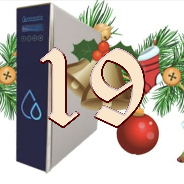 Herzlich willkommen im Adventskalender für Mensch & Tier an Tag 19