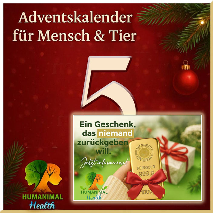 Herzlich willkommen im Adventskalender für Mensch & Tier an Tag 5