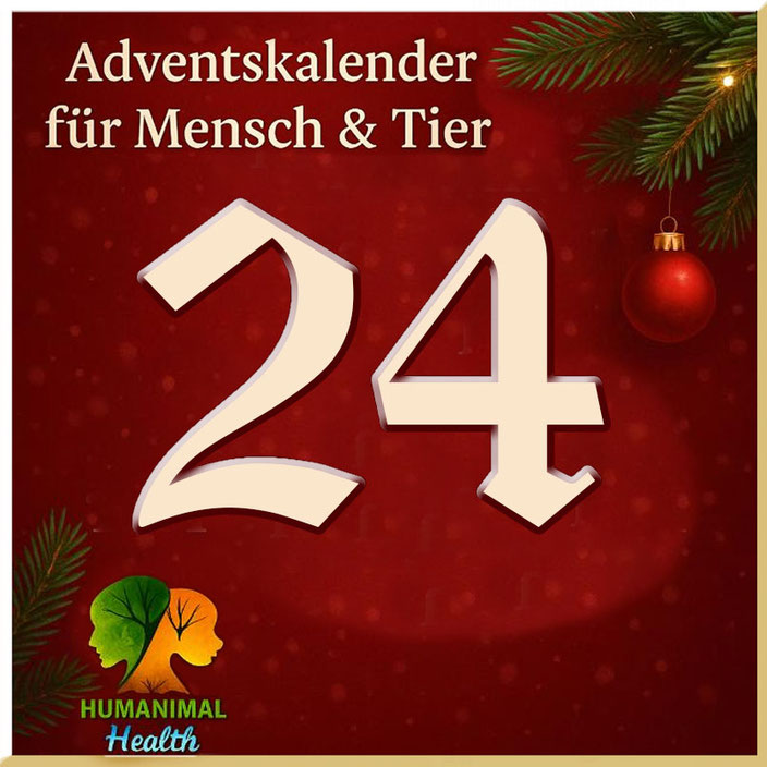 Herzlich willkommen im Adventskalender für Mensch & Tier an Tag 24