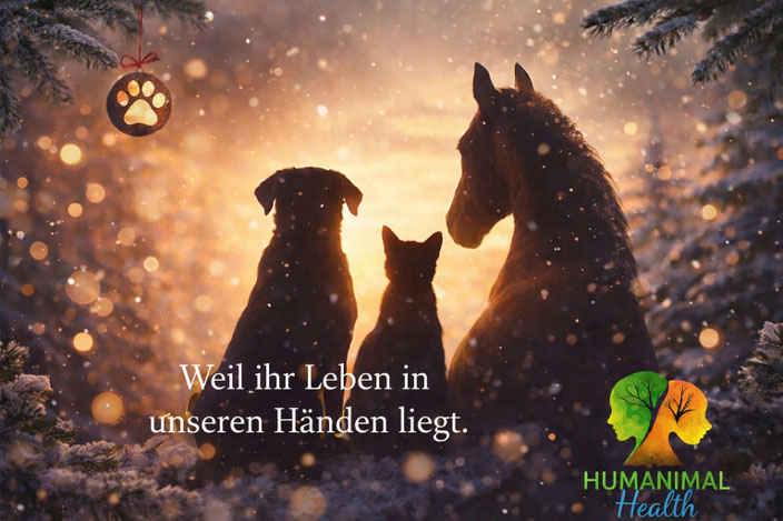 Weil ihr Leben in unseren Händen liegt.