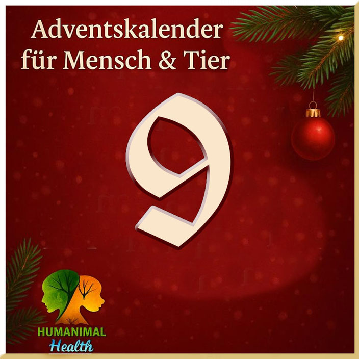 Herzlich willkommen im Adventskalender für Mensch & Tier an Tag 5