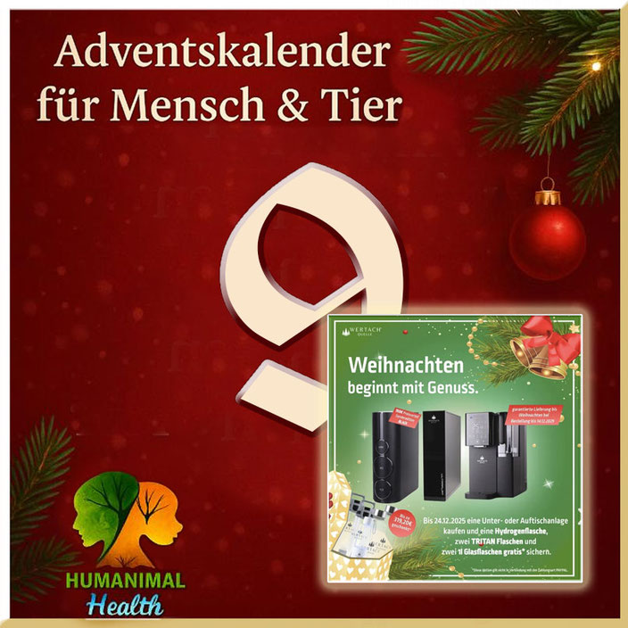 Herzlich willkommen im Adventskalender für Mensch & Tier an Tag 5