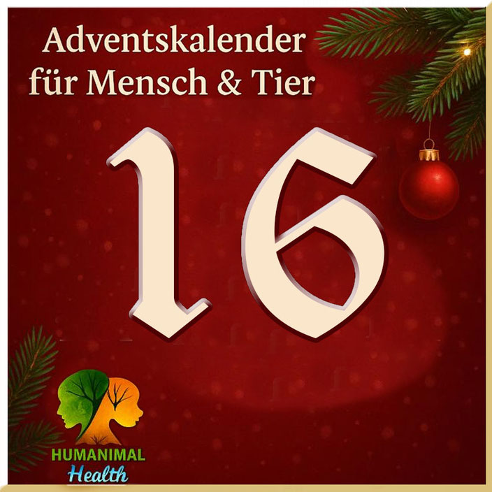 Heute steht hier Kalendertuerchen Nr. 16