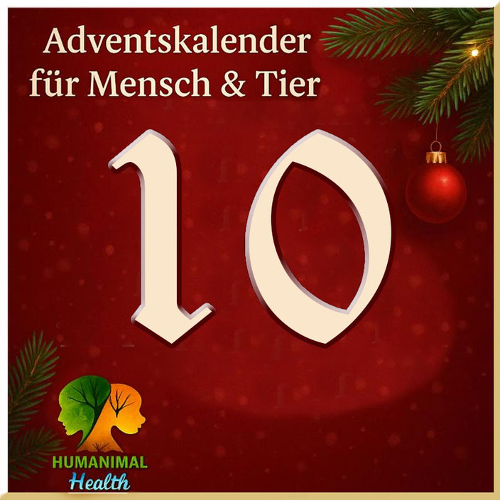 Herzlich willkommen im Adventskalender für Mensch & Tier an Tag 5