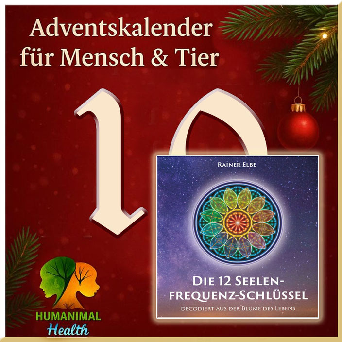 Herzlich willkommen im Adventskalender für Mensch & Tier an Tag 5