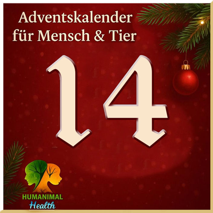 Herzlich willkommen im Adventskalender für Mensch & Tier an Tag 14