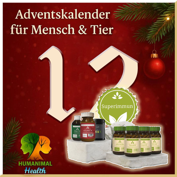 Herzlich willkommen im Adventskalender für Mensch & Tier an Tag 12