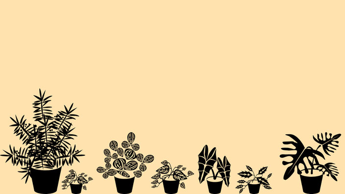 Urban Jungle Wallpaper Desktop und Handy Design 2 Computerversion