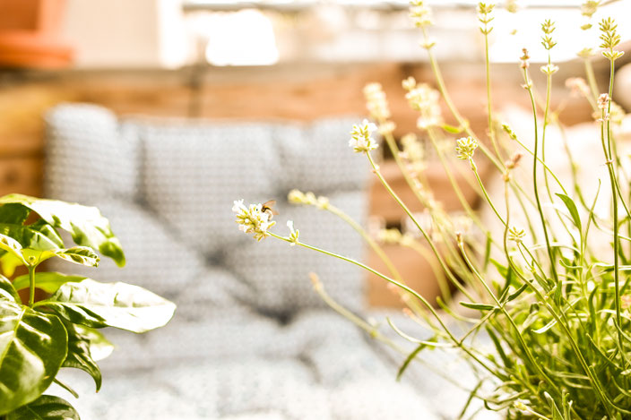 Rettet die Bienen — Mit diesen 5 einfachen Tipps kannst du aktiv etwas gegen das Bienensterben tun RiekesBlog