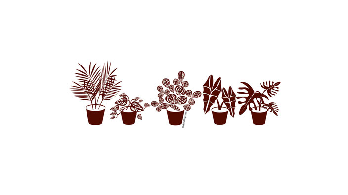 Urban Jungle Wallpaper Desktop und Handy Design 2 Computerversion