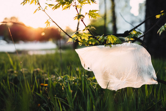 Titelbild: #zerowaste: Aber warum eigentlich? — 5 gute Gründe plastikfrei(er) zu leben, Mülltüte in Baum