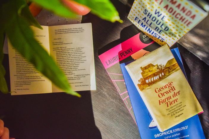 Die perfekte Leselektüre für den Sommer — Tolle aber kleine Bücher für dein Handgepäck RiekesBlog