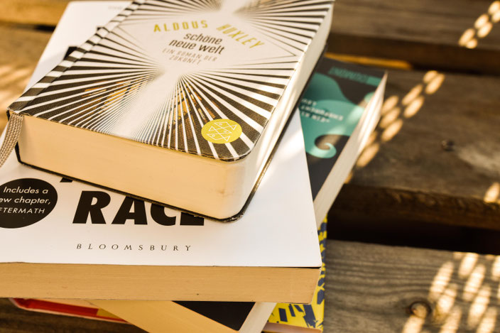 Gesellschaftskritische Buchempfehlungen RiekesBlog
