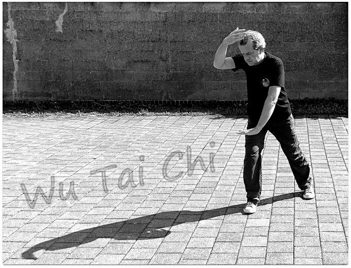 Wu Tai Chi Chuan Schnelle Form