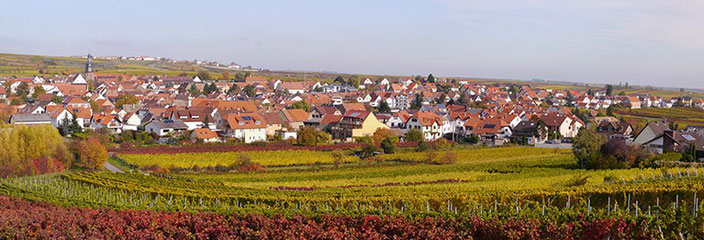 Kallstadt, idyllisch gelegen am Haardt-Rand inmitten von Weinlagen wie dem "Saumagen". Bekannt für seine gute Gastronomie und feinen Weine - und wegen großer Namen wie Trump oder Heinz.