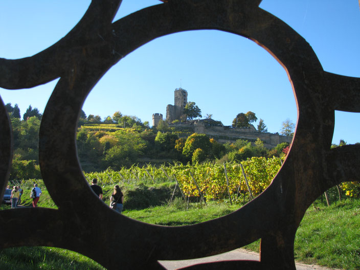 Weinsicht Pfalz Wachenheim Wachtenburg Schlossberg
