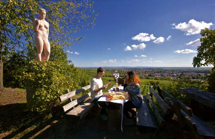 Der beliebte Rastplatz bietet einen weiten fantastischen Blick über das Vorderpfälzische Hügelland bis in die Rheinebene.
