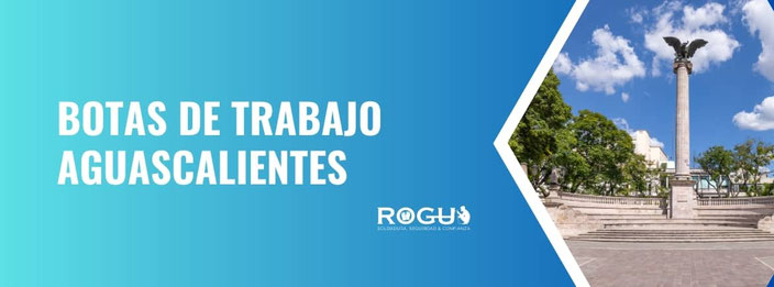 BOTAS DE TRABAJO aguascalientes