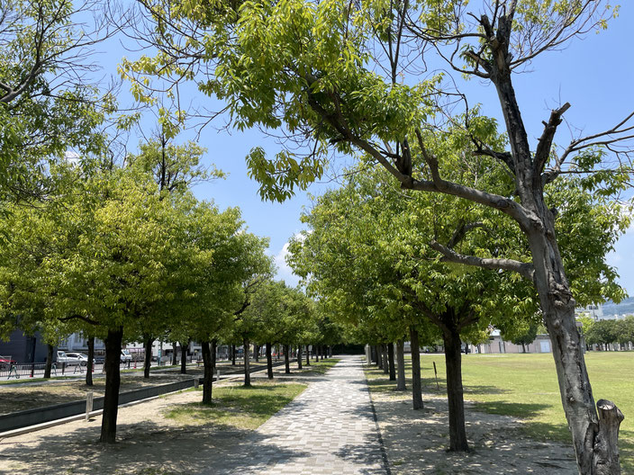 宝塚末広公園
